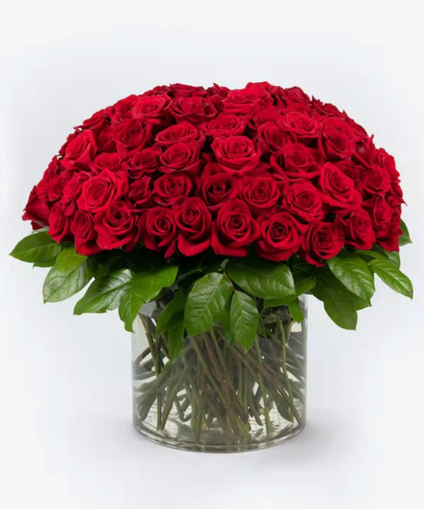 Dazzling Red Roses