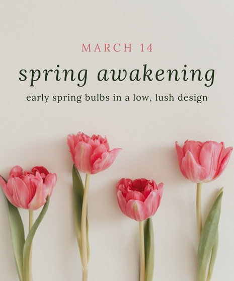 A flyer with right pink tulips.