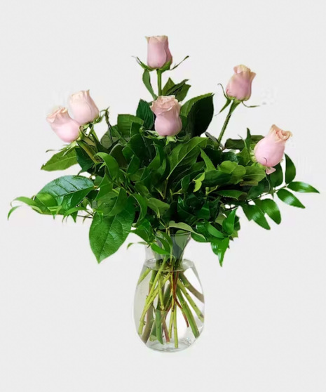 buy half dozen roses Grad Rapids MI
