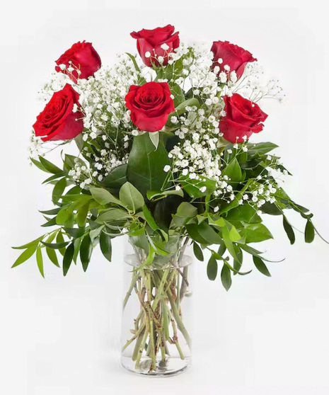 Classic Half Dozen Roses with Babies Breath