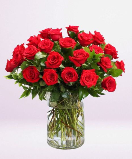 Classic Two Dozen Premium Roses