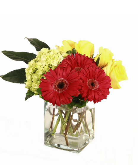 Bright Blessings