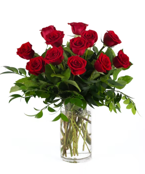 Classic Premium Dozen Roses