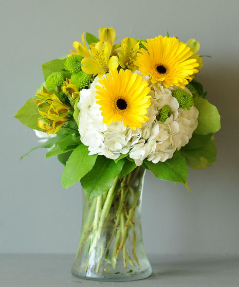 An arrangement of yellow gerbera daisies, alstromeria, white hydrangeas and green foliage in a clear glass vase.