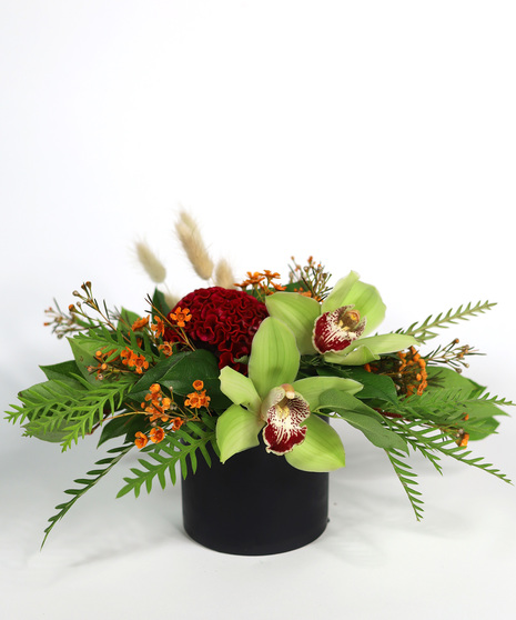 ELEGANT ORCHID HARVEST