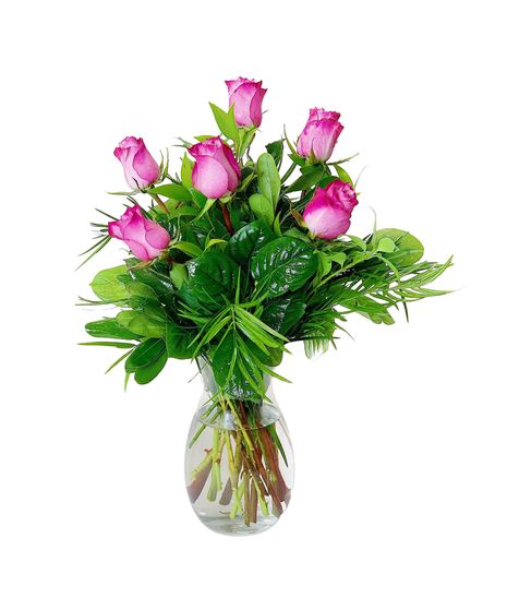 buy half dozen roses Grad Rapids MI