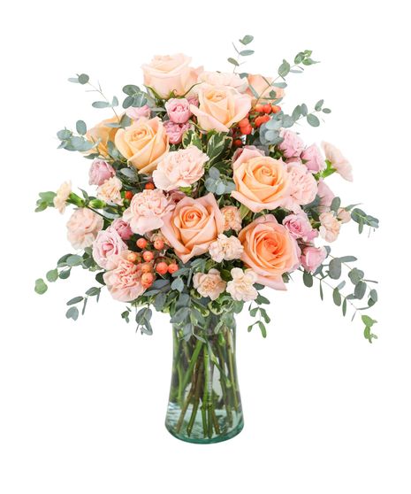 Sorbet Rose Garden