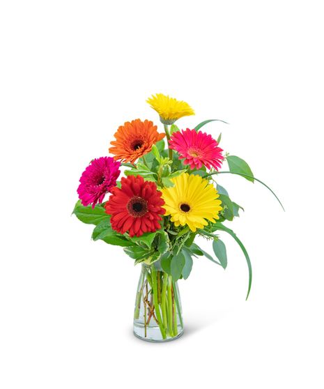 bouquet of colorful gerbera daisies in a clear vase