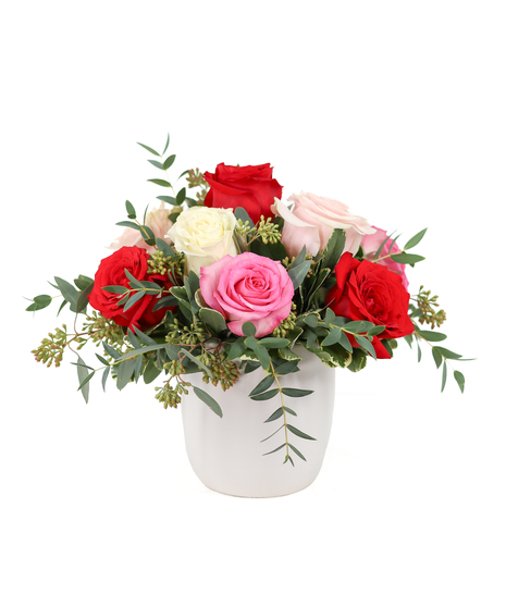 red, white, and pink roses arranged in a white ceramic container with parvafolia and pittisporum foliage. Mounded design style.