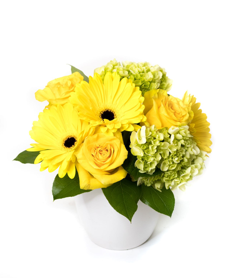 Happy Bright Day