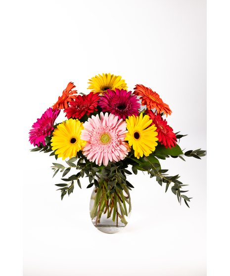 Brilliant Blooms