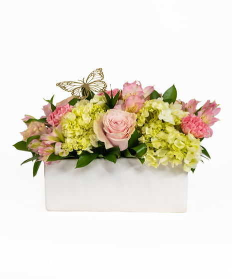 Blush & Bloom