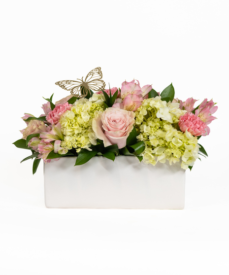 BLUSH & BLOOM