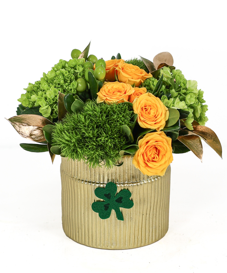 Yellow spray roses and green flowers including mini hydrangea, hypericum, and trachelium in a gold container with shamrock accents.
