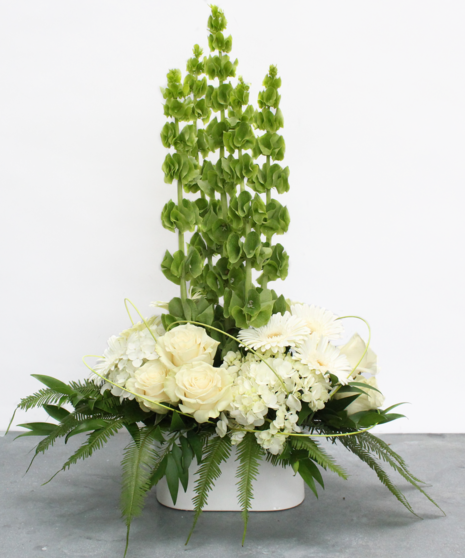 A tall arrangement of Bells of Ireland, white roses, and green foliage in a white ceramic container.