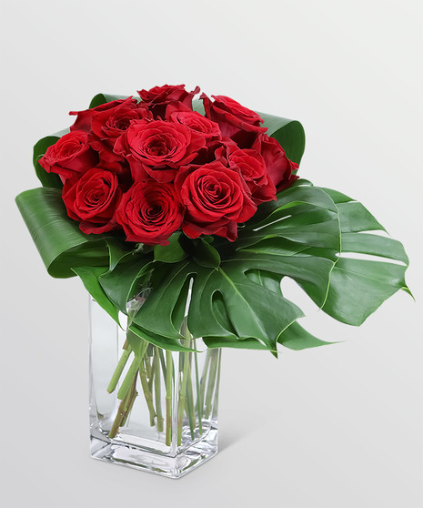Modern Roses - One Dozen