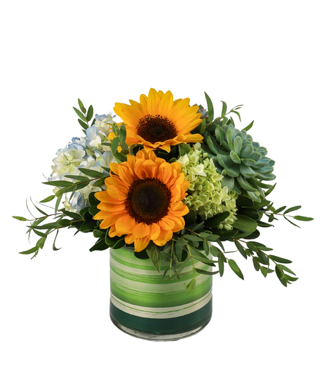 Succulents and Sunflowers