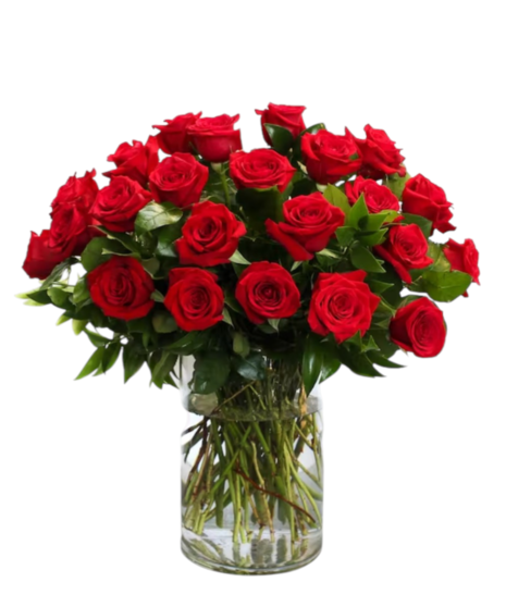 Classic Two Dozen Premium Roses