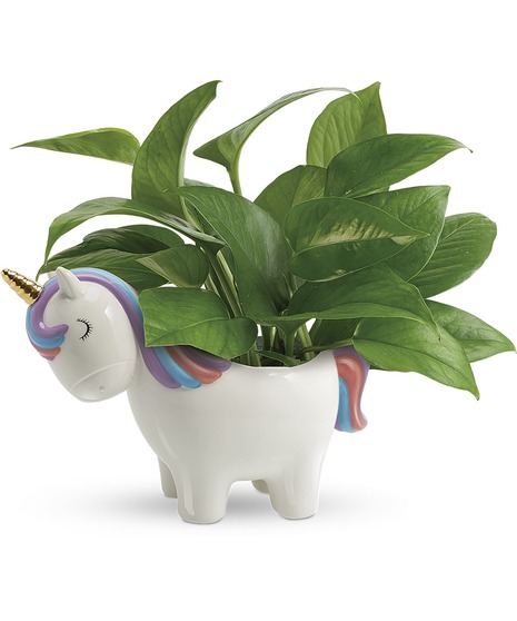 Peaceful Unicorn Planter - Plant May Vary