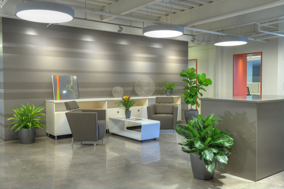 Plantscapes for the Office by Eatern Floral, Grand Rapids, MI