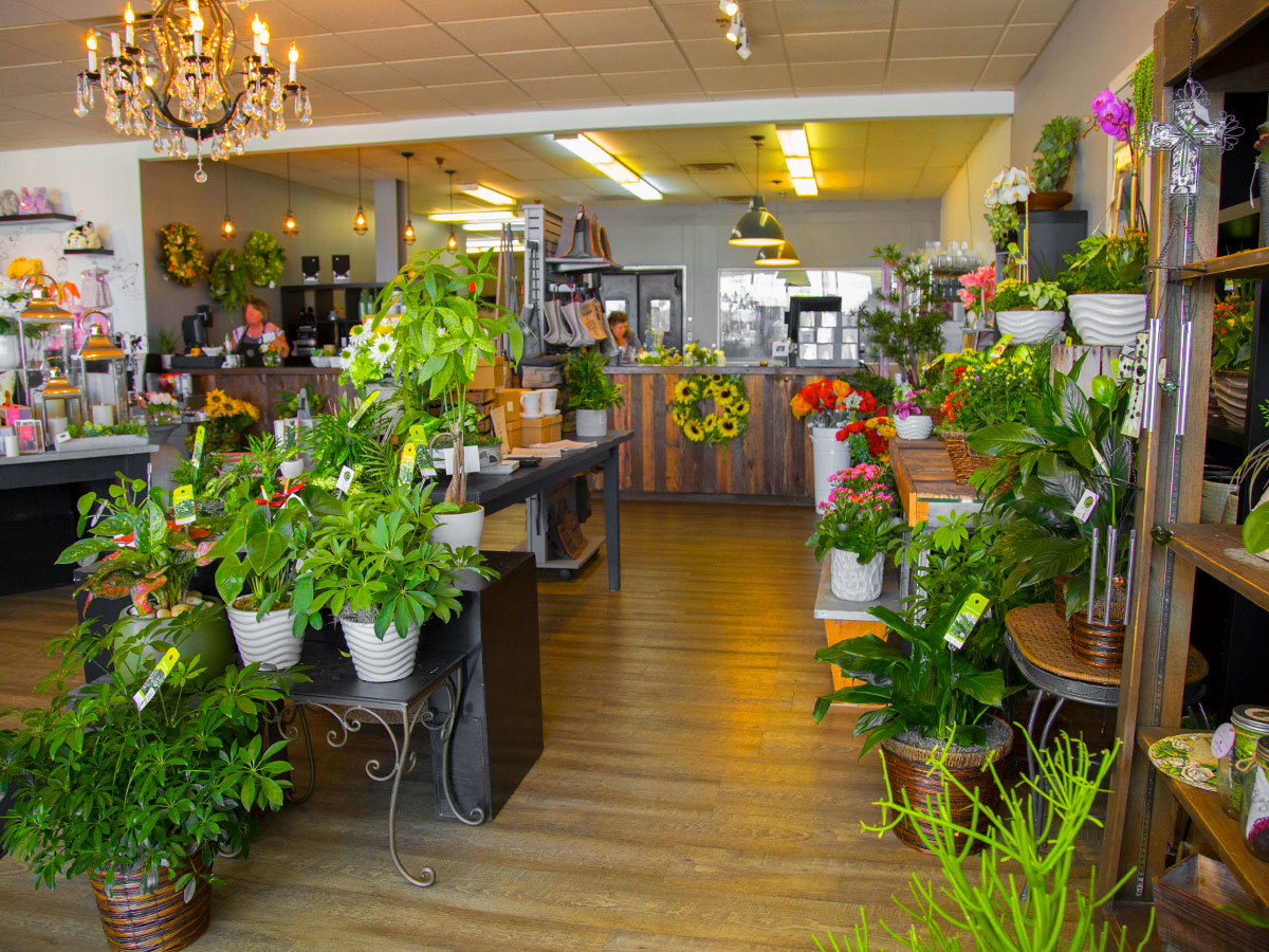 Take a step inside our bright, welcoming Grand Rapids showroom